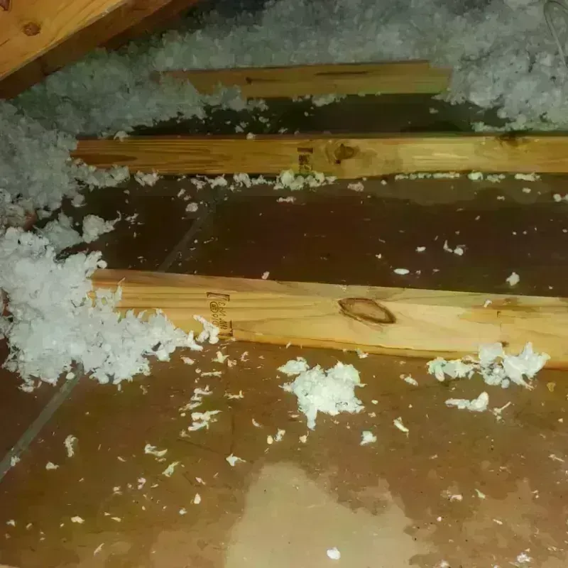 Attic Water Damage in Fulton County, GA