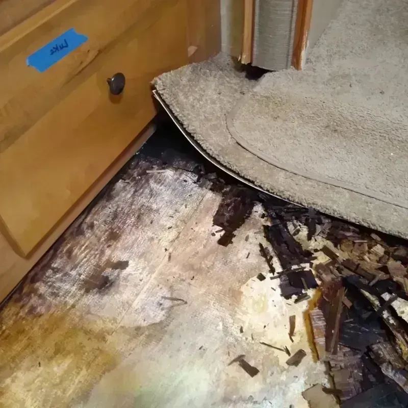 Wood Floor Water Damage in Fulton County, GA